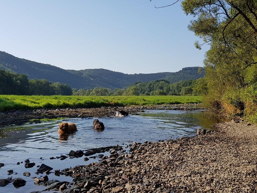 بليسفول هوليداي هوم إن\باتنبيرج ويذ فينسيد جاردن المنطقة الخارجية