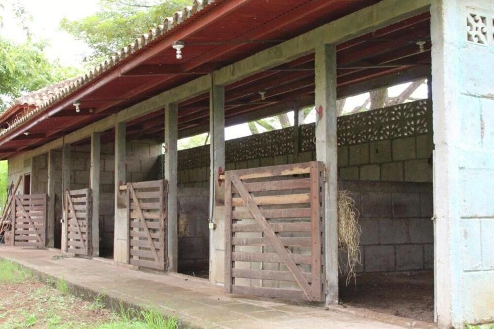 كازا باتريسيا جران باسيفيكا ريزورت المنطقة الخارجية