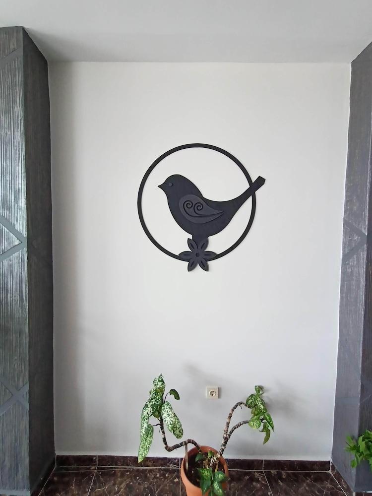 بوليا سوم بانسيون منطقة الاستقبال