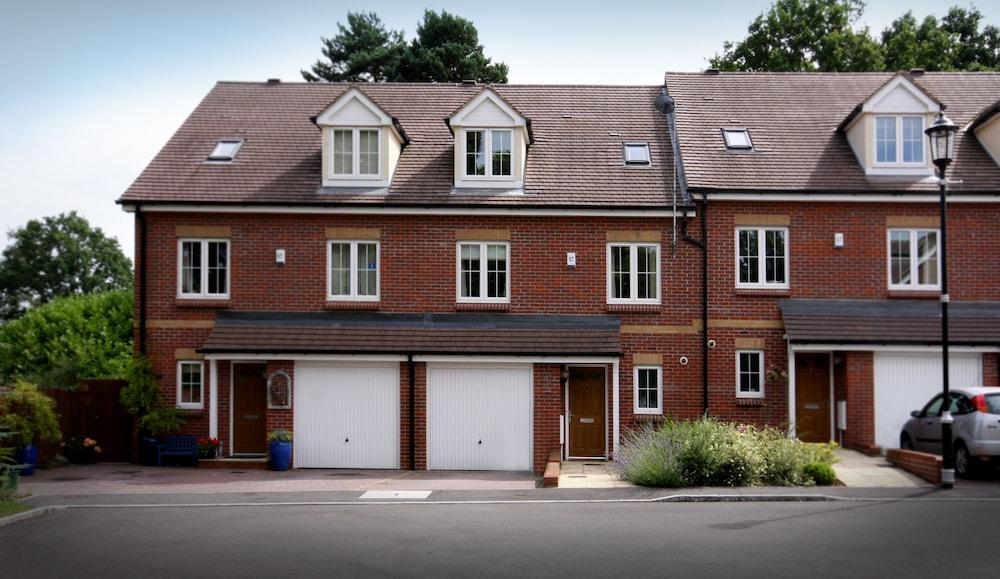 داروين بليس