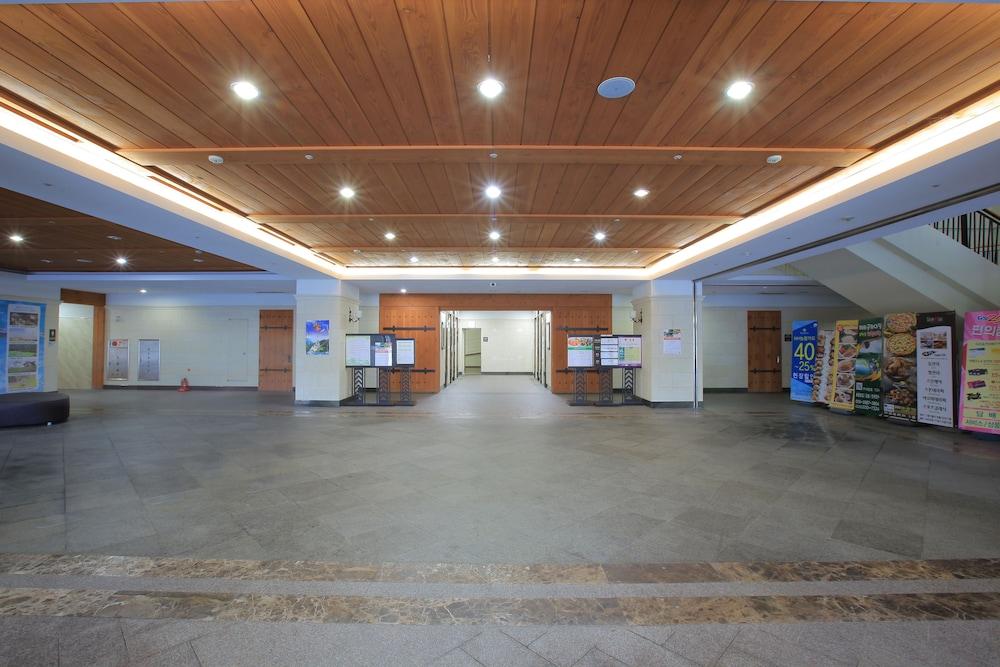Mona Yongpyong Greenpia Condominium Lobby