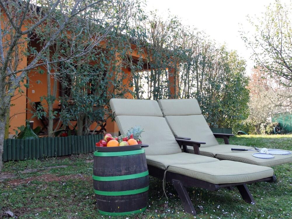 Cosy Holiday Home for Max. 4 Persons Surrounded With Meadows and Vineyard Exterior