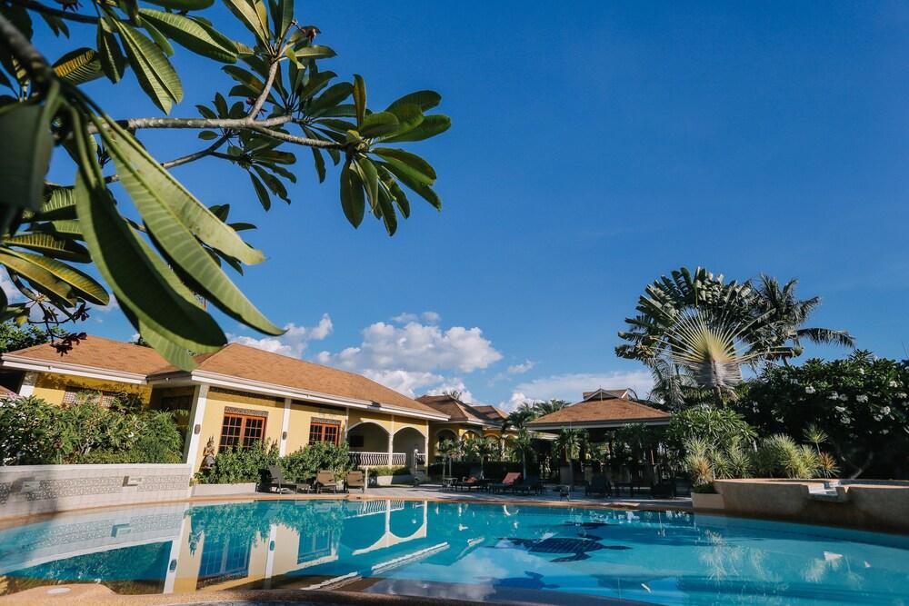 Turtle Bay Dive Resort Outdoor Pool