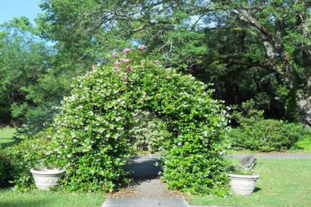 وودريدج بيد آند بريكفاست أوف لويزيانا المنطقة المحيطة بالمنشأة