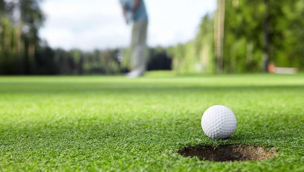 ماجنوسون هوتل ووزون أخرى