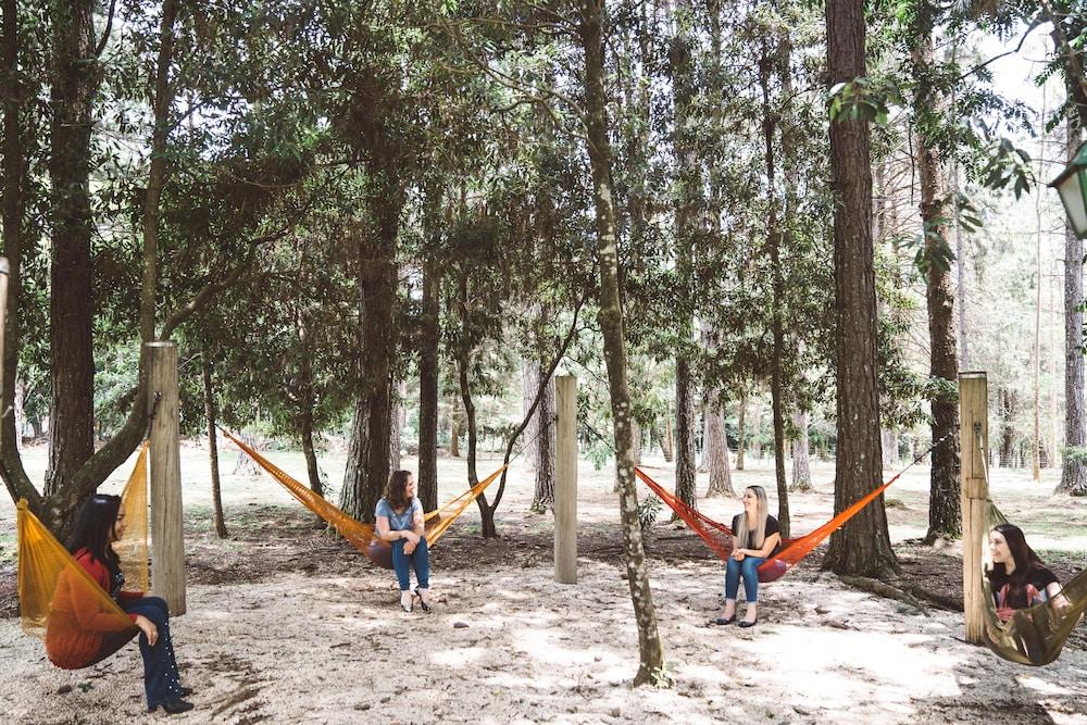 بوزادا بيتانيا المنطقة المحيطة بالمنشأة