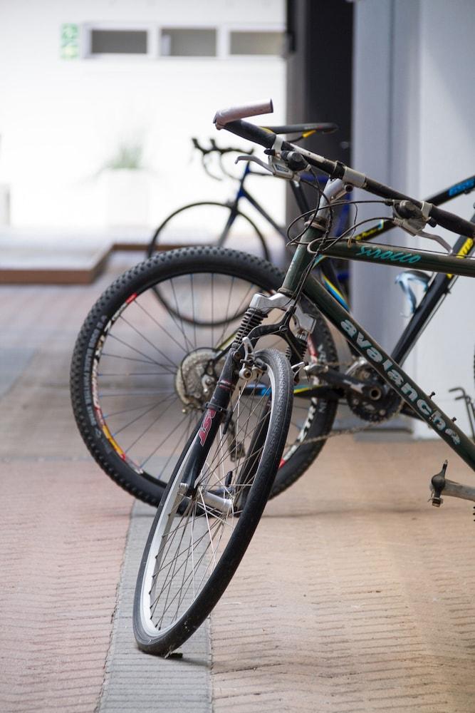 WINK Quiver Tree Property Grounds