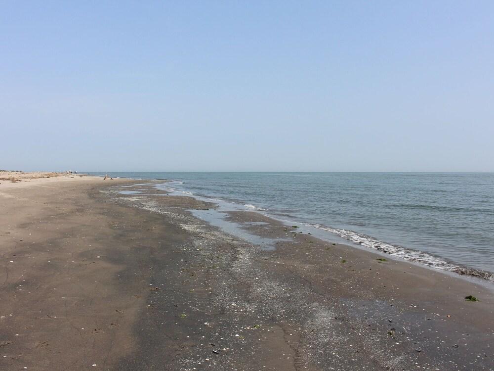 سوندرينشيد هوليداي هاوس، نير ذا بيتش إن روزولينا ميري المنطقة الخارجية