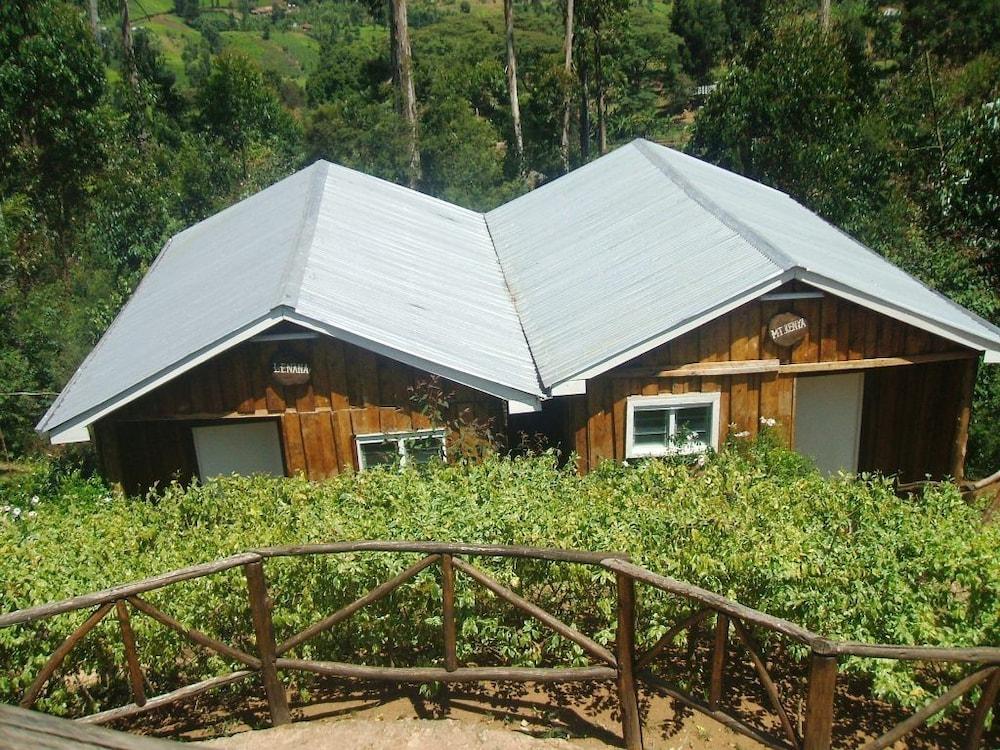 أبيردير كوتيدجز آند فيشينج لودج المنطقة المحيطة بالمنشأة