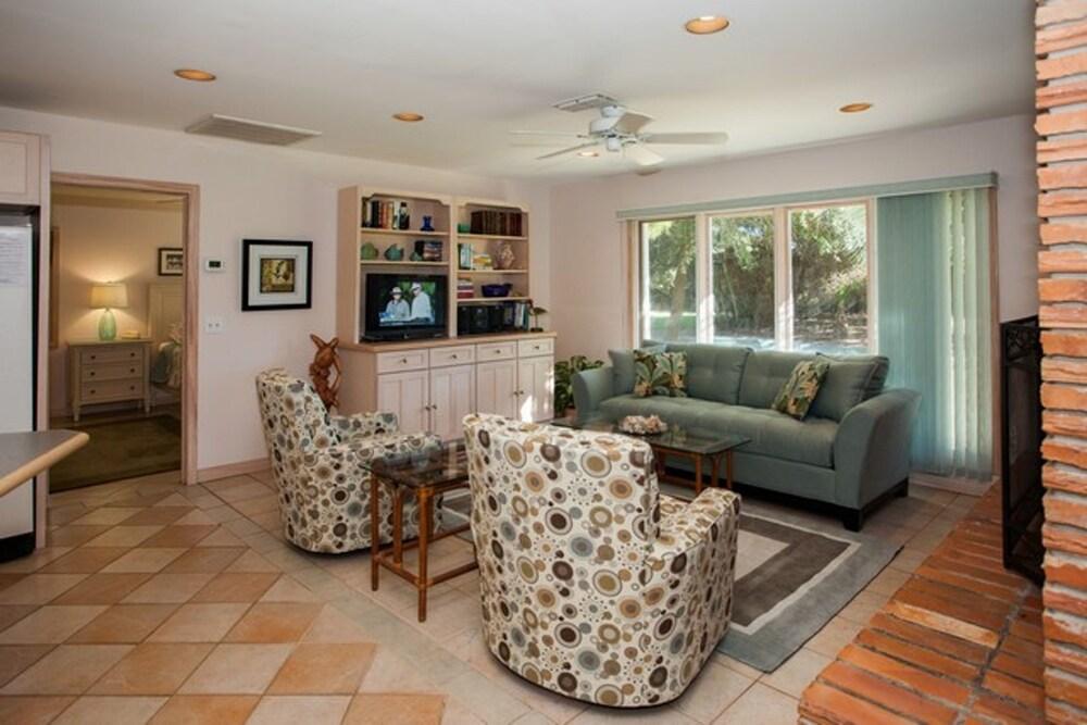 Always Turtle Crawl by Jekyll Realty Others