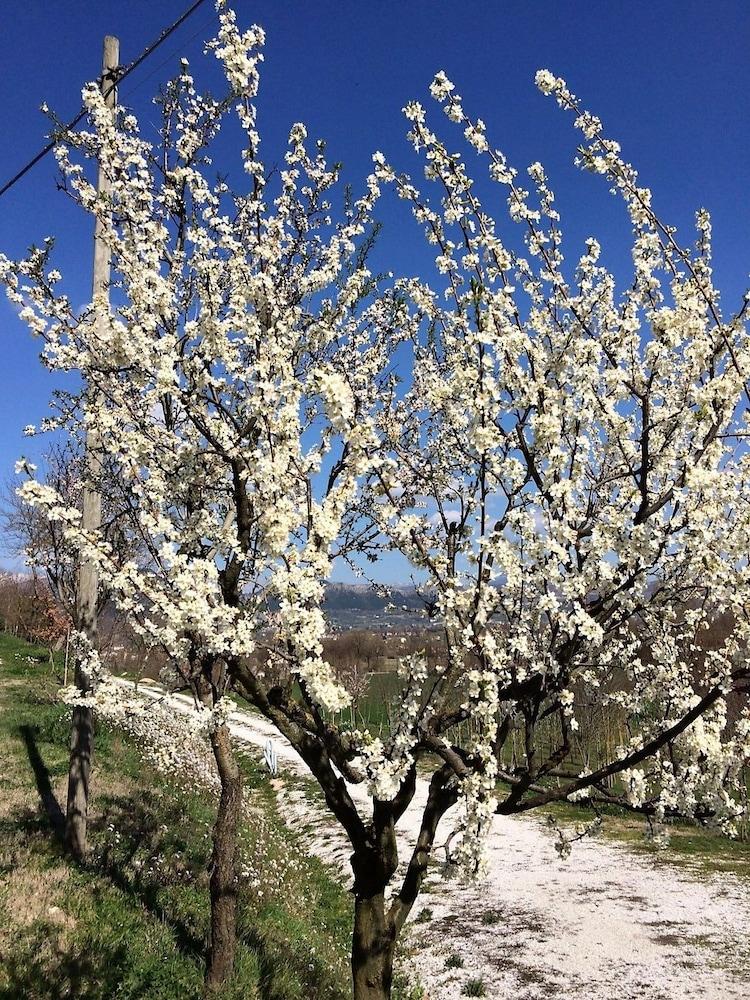 أجريتوريزمو آي جيلسي دي سانتا كريستينا المنطقة الخارجية