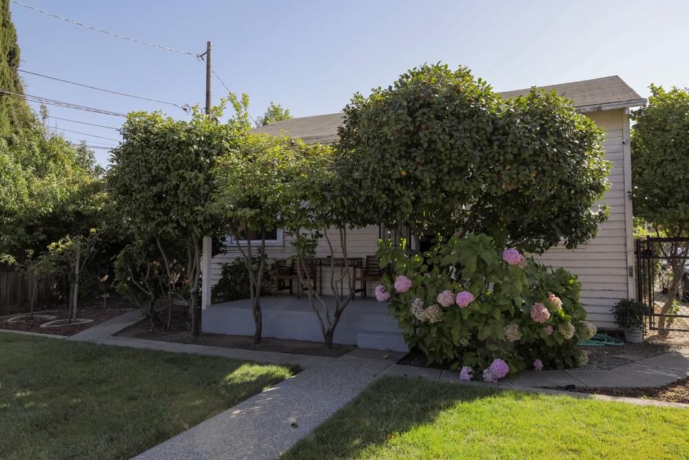 كوزي  رم ر/2ربٕ ا نلر إسجاس و ٓند أيربورت المنطقة المحيطة بالمنشأة