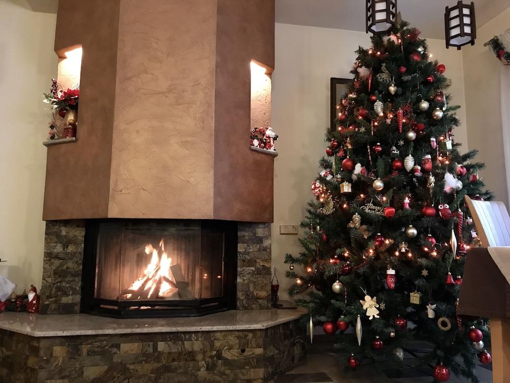 Pensiunea Nimbus Reception