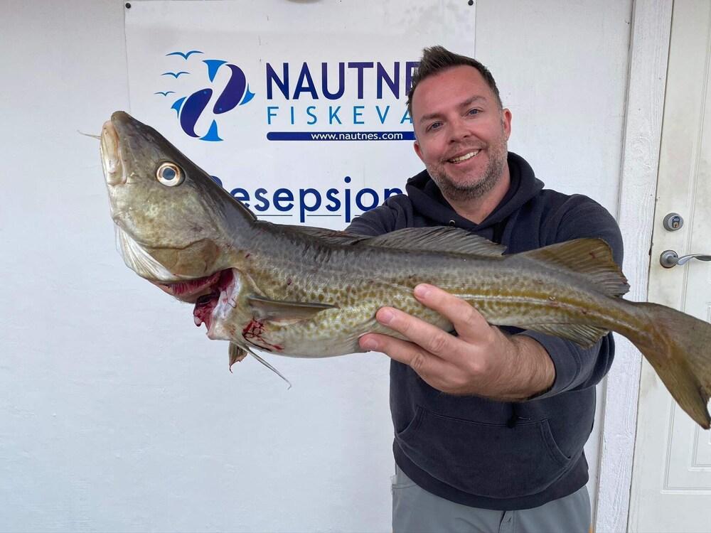 4 بيرسون هوليداي هوم إن تيلستو المنطقة الخارجية