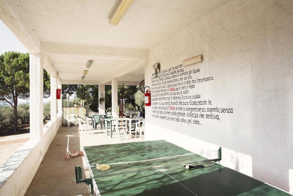 كامبينج تشاولي