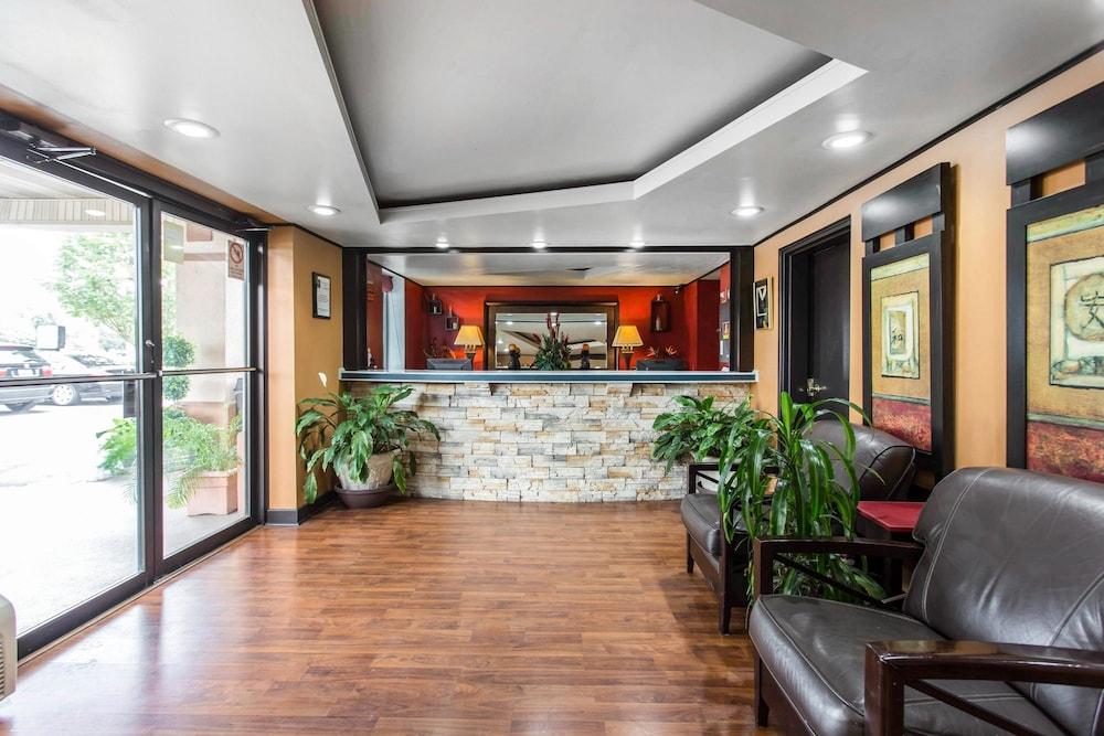 كواليتي إن جوس كريك - شارليستون الردهة