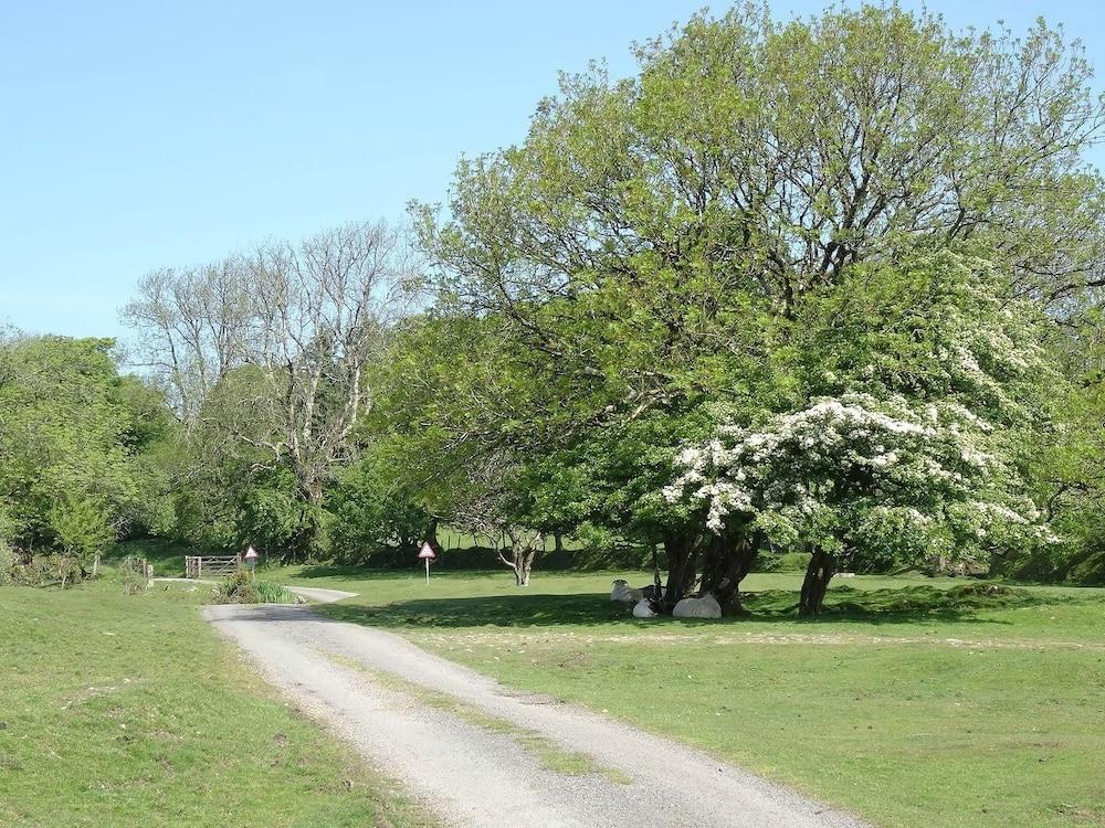 Scrumpy Cottage Property Grounds