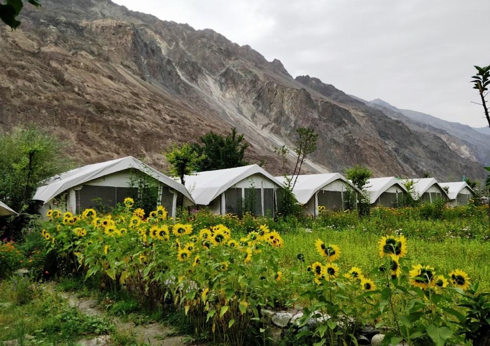 تي آي إتش بكويت روت كامب - تورتوك الصورة الأساسية