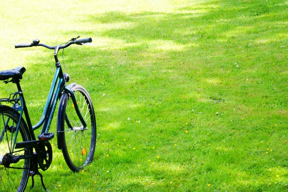 هوتل آند أبارتمنتس زارينهوف برلين ميتي أخرى