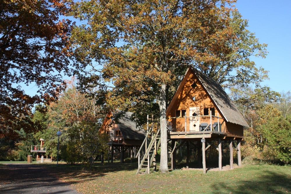 لو نيد دون ليه برويير الصورة الأساسية