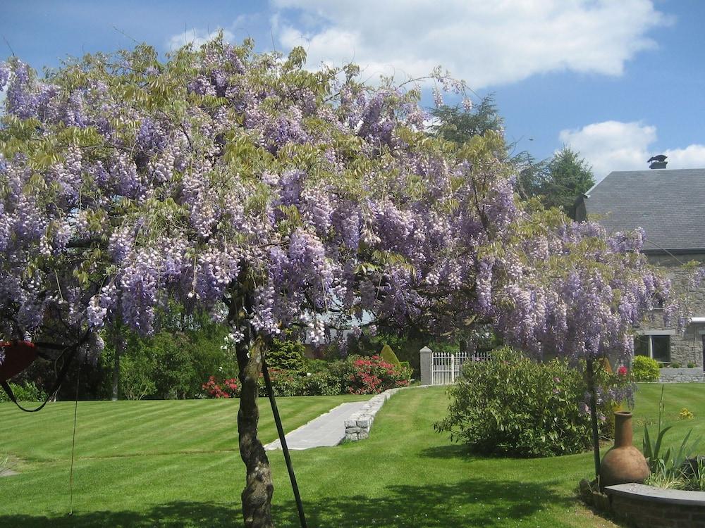 مودرن هوليداي هوم إن مارشي إن- فامين ويذ جاردن المنطقة الخارجية