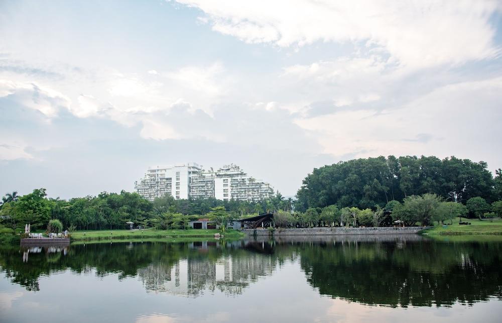 فوريست إن ذا سكاي فلامينجو داي لاي ريزورت منظر من الجو