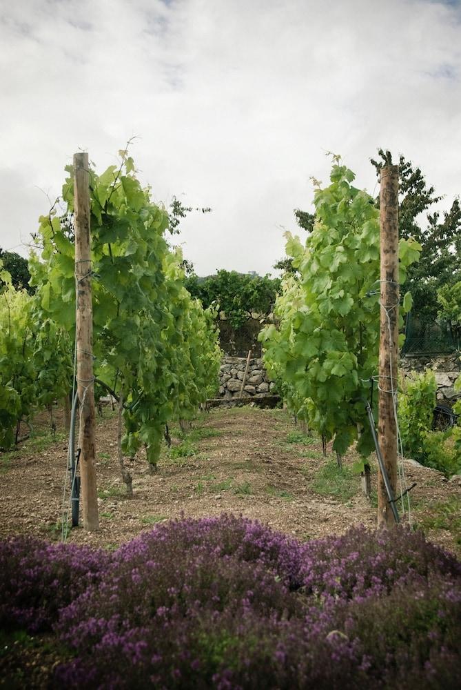 فالداريجوس دورو توريزمو رورال المنطقة الخارجية