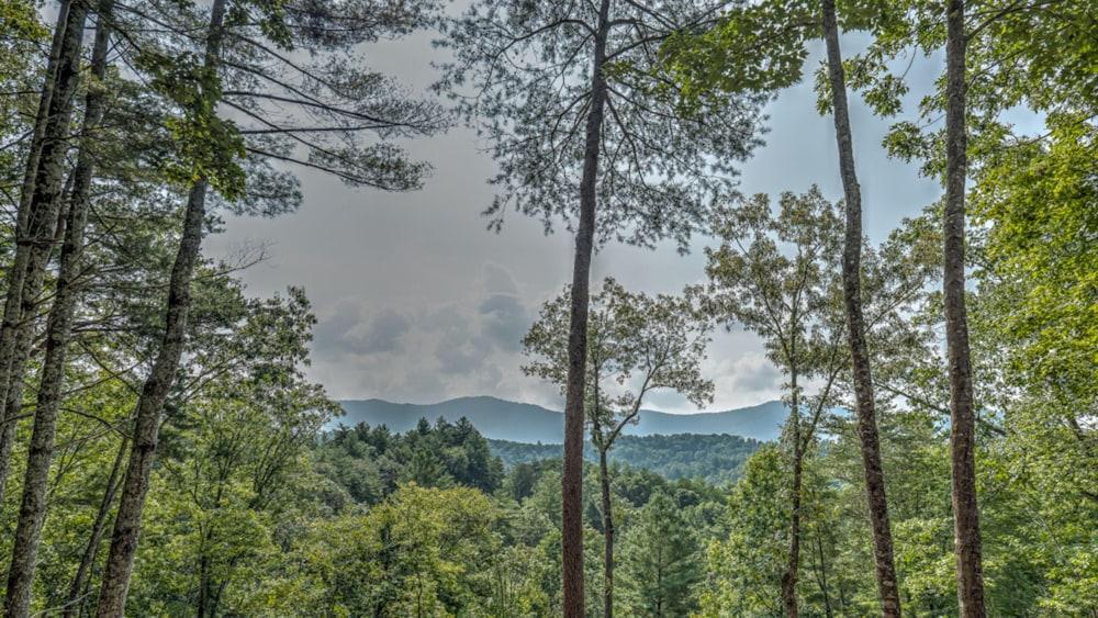 أنبلوج باي إسكايب تو بلو ريدج المنطقة المحيطة بالمنشأة