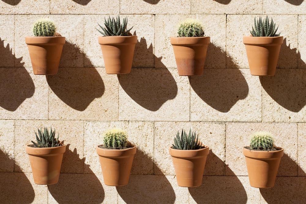 آينجلز بوتيك - توريسمو ديه إنتيريور المنطقة الخارجية