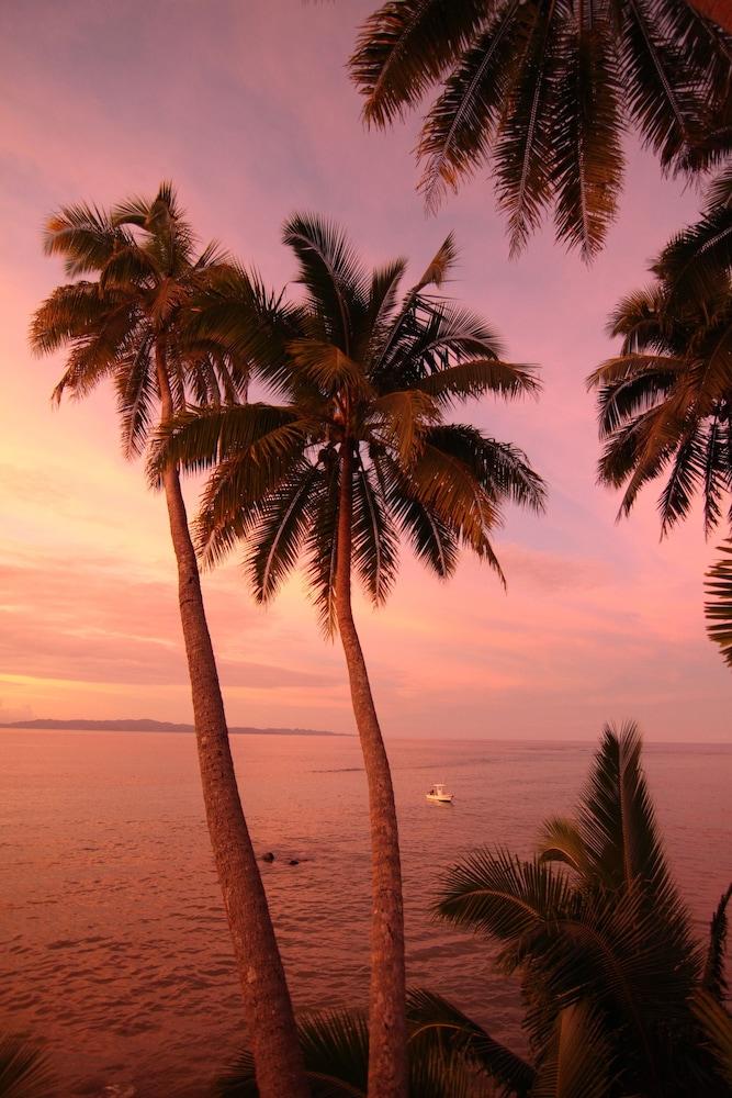Taveuni Palms Property Grounds
