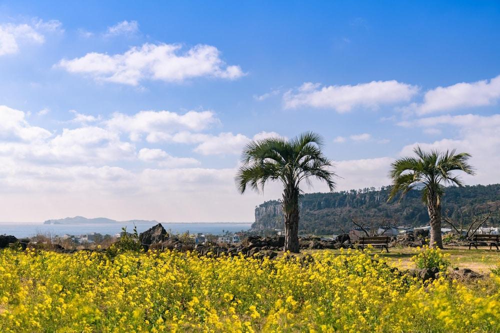 باي هيل بوول آند فيلا المنطقة الخارجية