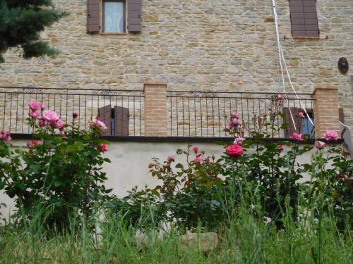 Vigna della Ripa