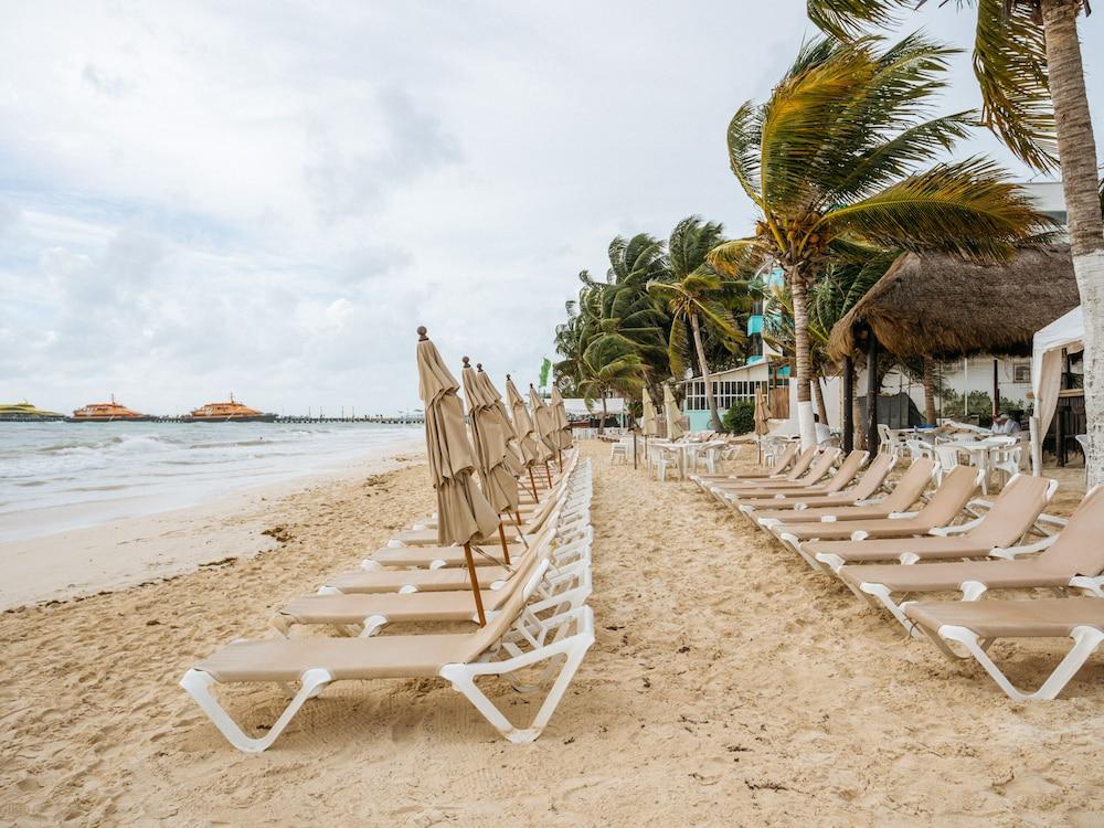 كابيتال أو ميمي ديل مار، بلايا ديل كارمين سطح مشمس