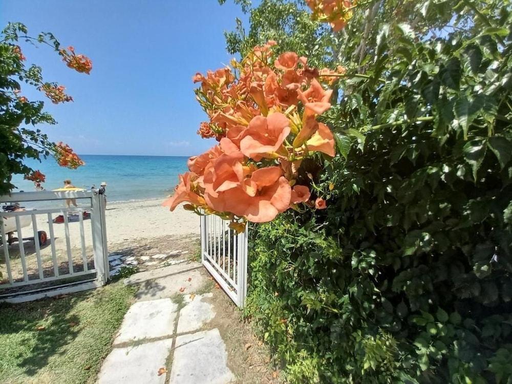 جريك برايد إيفلوجيا تفاصيل الفندق من الخارج