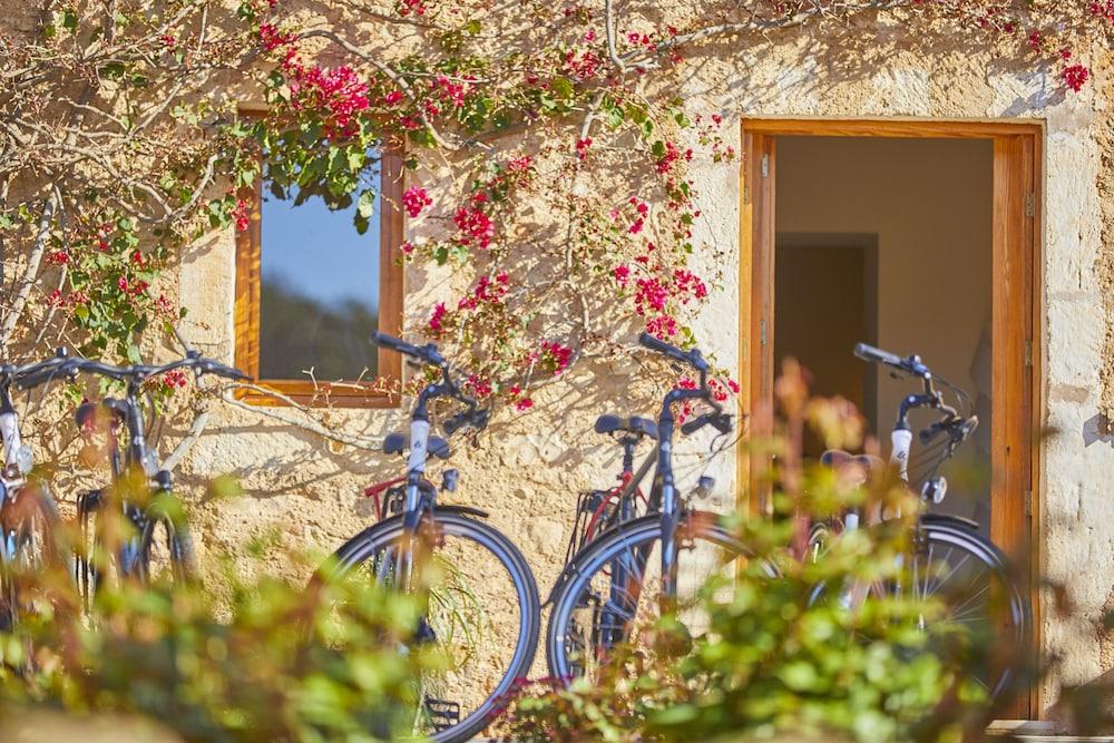 سون بينيا بيتيت هوتل آند سبا - لبالغين فقط منطقة الاستقبال