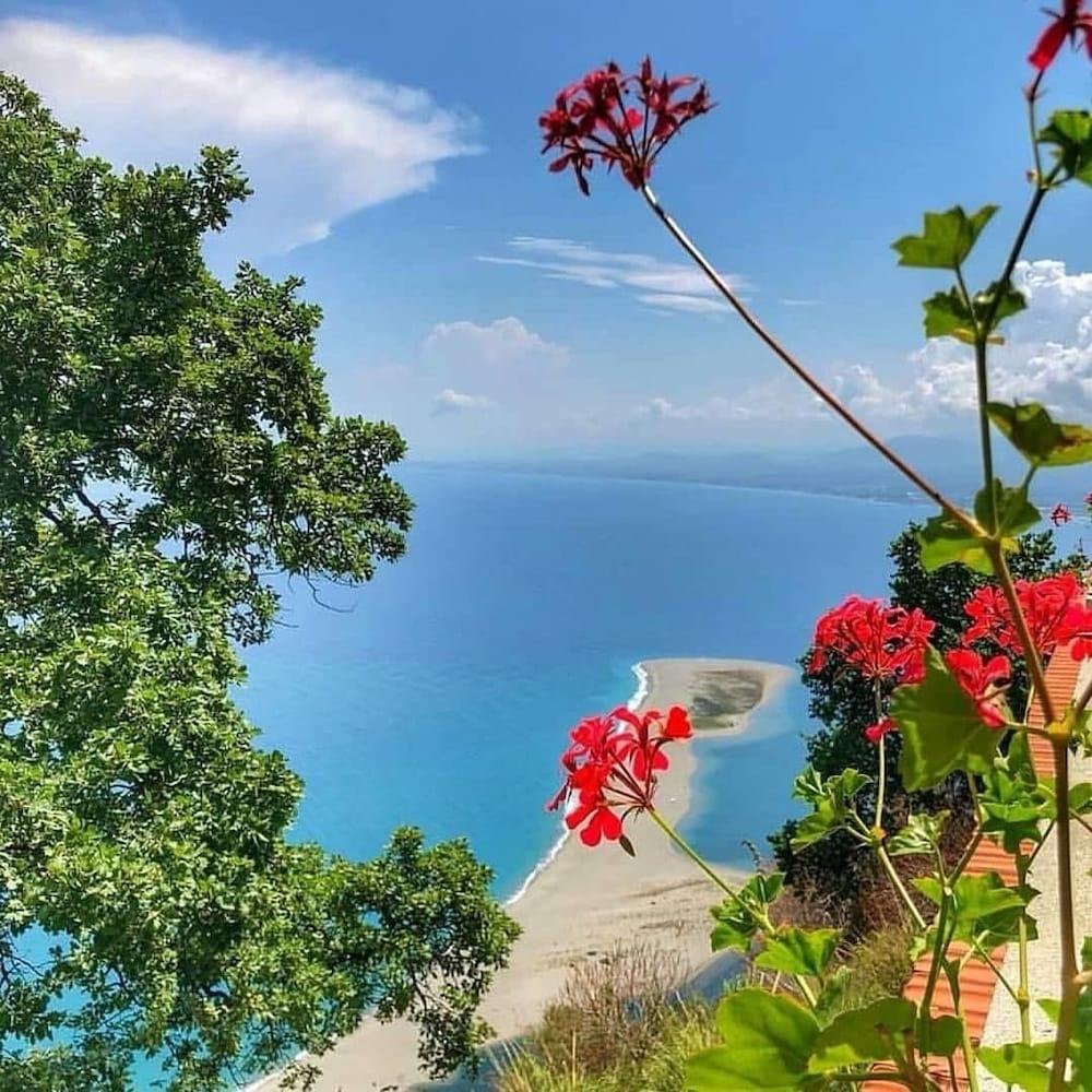 بد آند بريكفاست توناريلا بيتش تفاصيل الفندق من الخارج