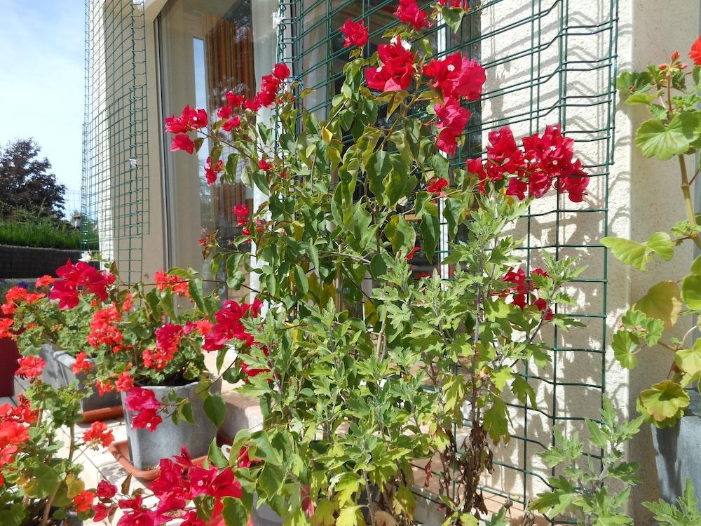 أو سوليل دي ألبي المنطقة الخارجية