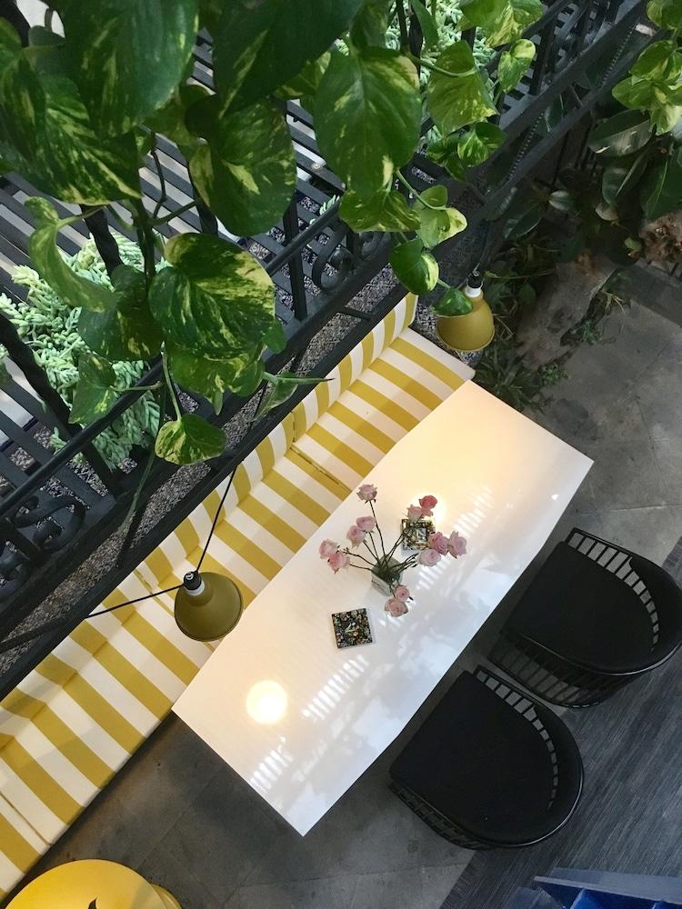Pug Seal Sentimientos Hotel Interior