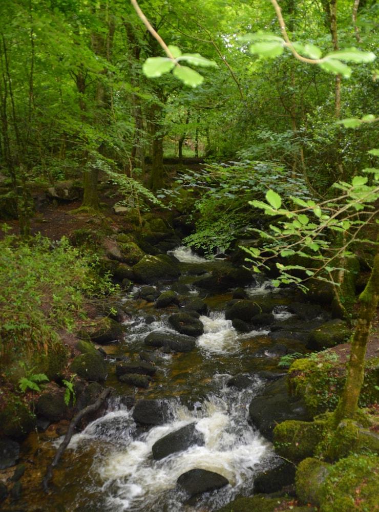 سيكلوديد ميدوو، يونيك شاير هات، بيرفيكت كامبينج المنطقة المحيطة بالمنشأة