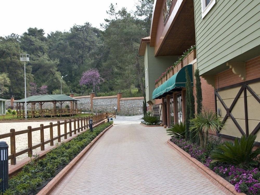 بادوك بريميوم هوتل آند ستابلز المنطقة الخارجية