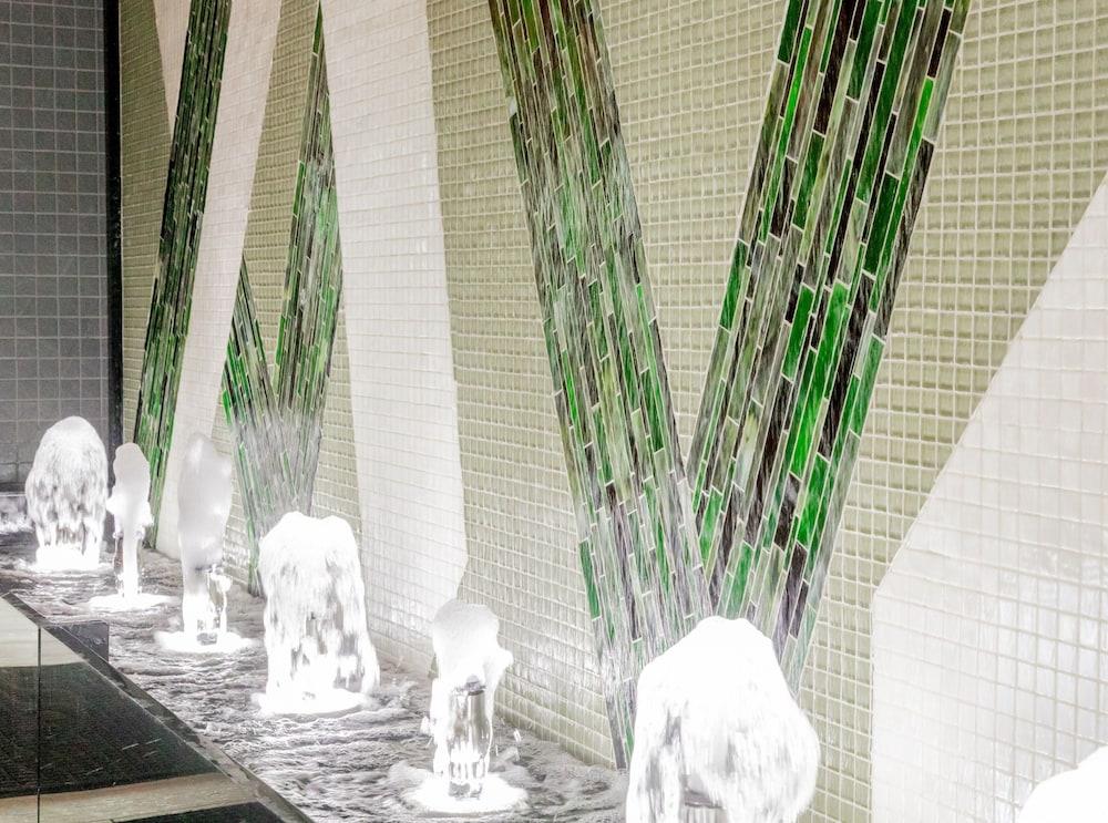 إمباسي سويتس باي هيلتون لكسنجتون جرين الردهة