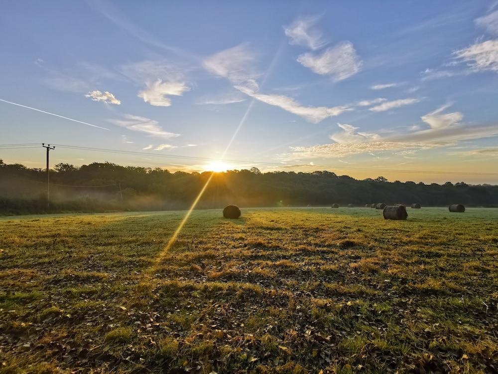 جورجاس هورسبوكس آت جلامب إن ستايل إن إيست سوسيكس المنطقة المحيطة بالمنشأة