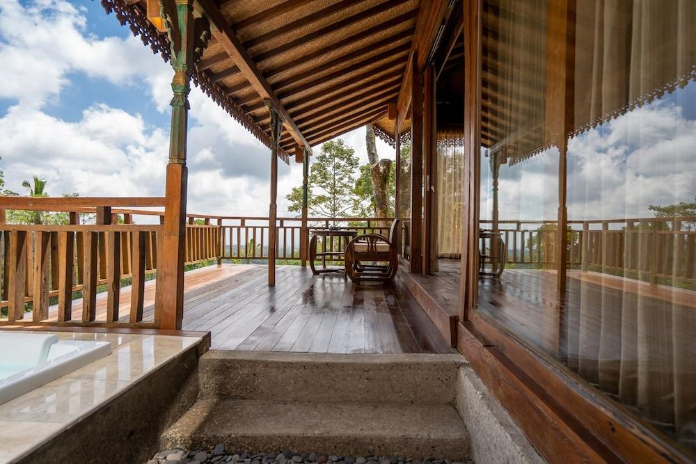 Sunia Jungle Interior