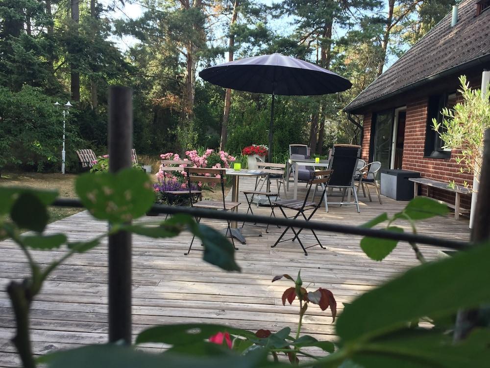 فليجاريفاجين