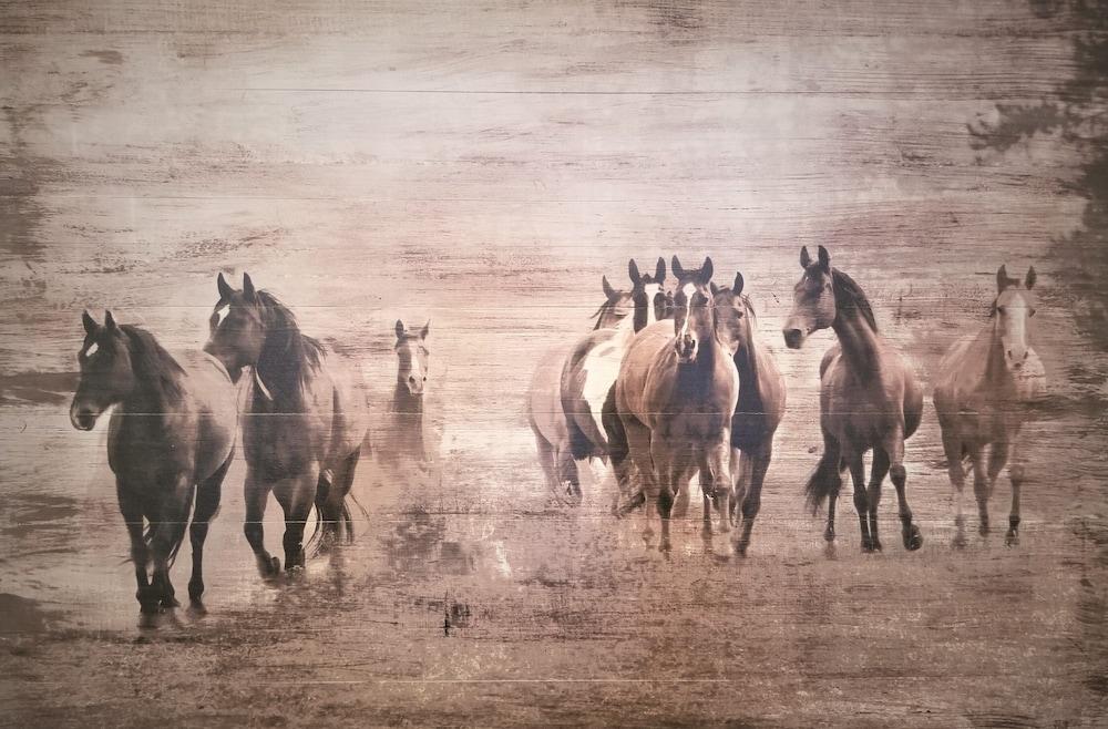 بيك فالي مانور، إيه مودرن فارم هاوس تفاصيل الفندق من الداخل