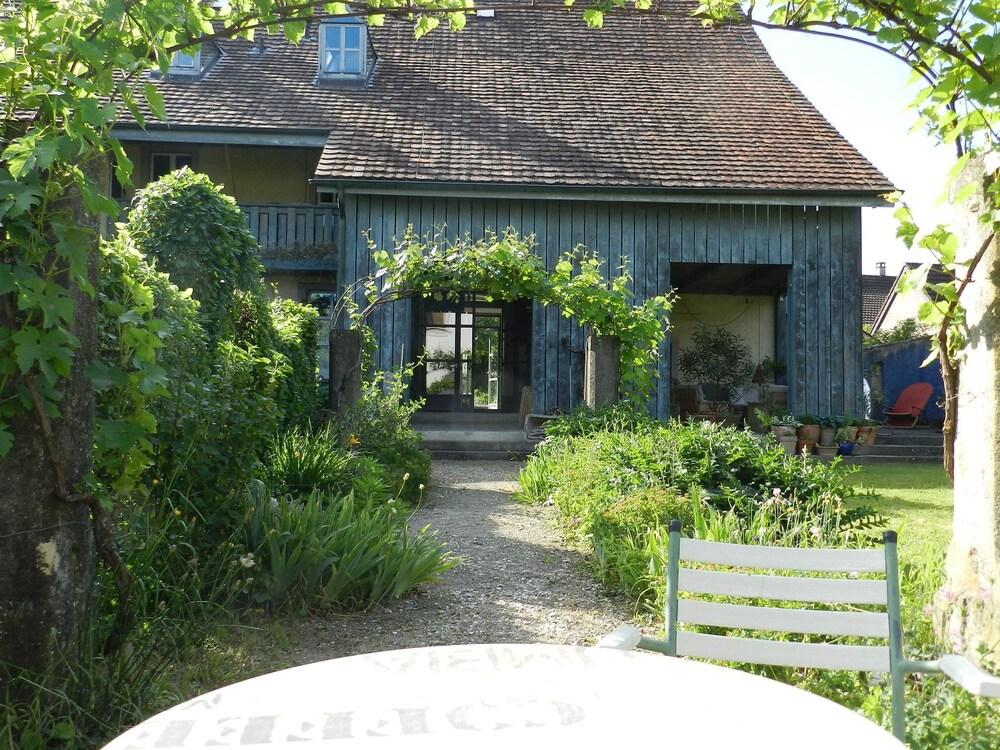 بلو وول بد آند بريكفاست - بيزنس أبارتمنتس المنطقة المحيطة بالمنشأة