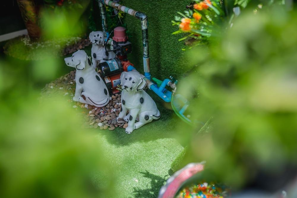 مينوليس كولي هاوس باتونج المنطقة المحيطة بالمنشأة