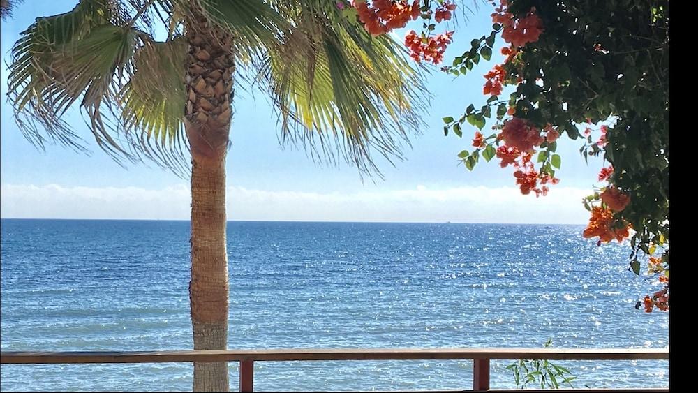 MI CAPRICHO C16 Luxury apartment on the beachfront Property Grounds