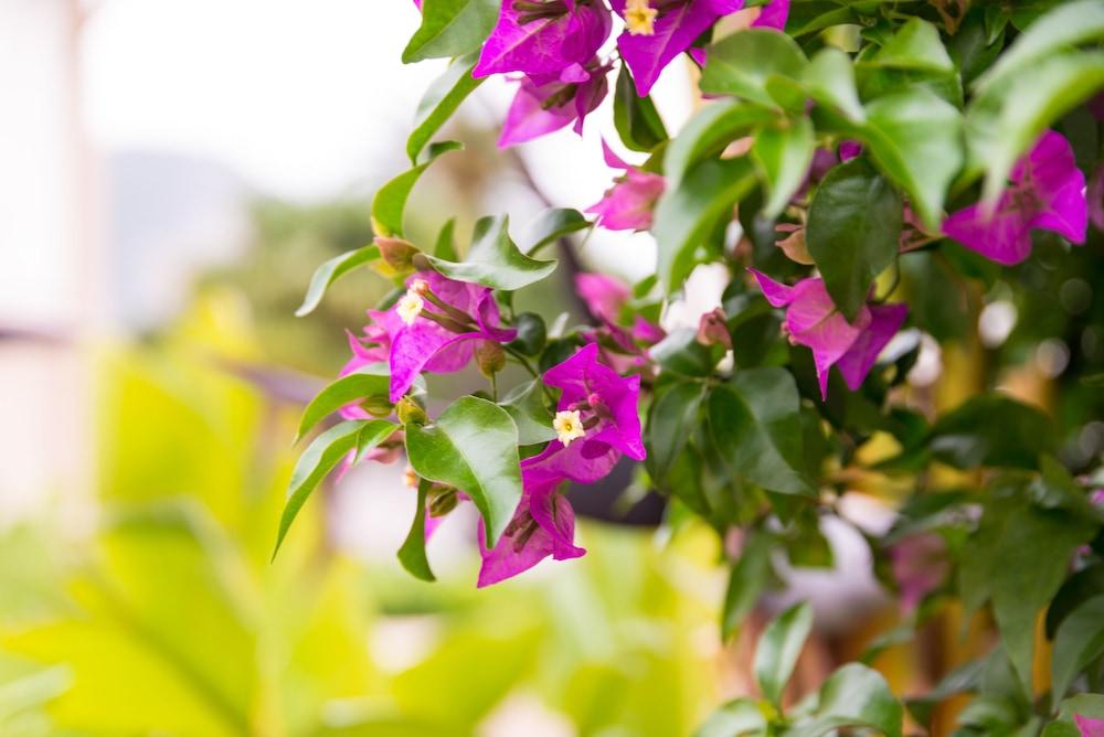 ذي أوريجينالز سيتي، أوتل فريزيا، بوليو سور مير المنطقة الخارجية