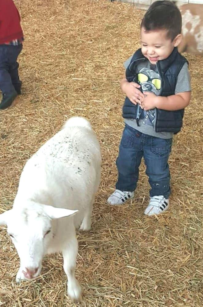 بورتو نوفو باجا هوتل آند فيلاز المنطقة الخارجية